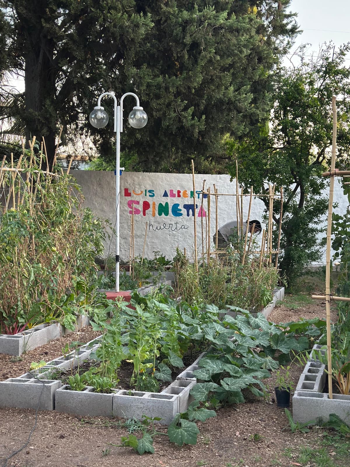 Foto del jardín 1