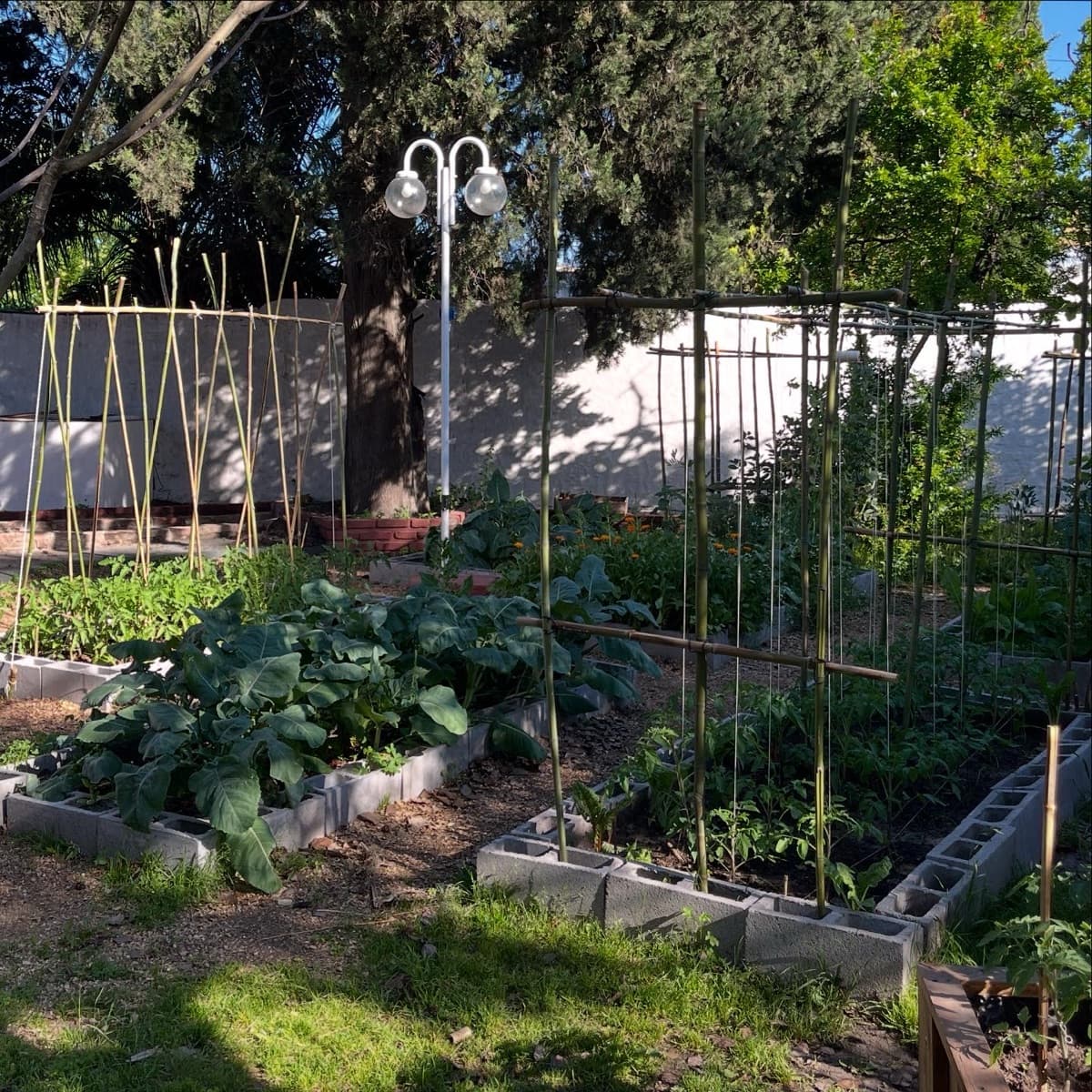 Foto del jardín 5