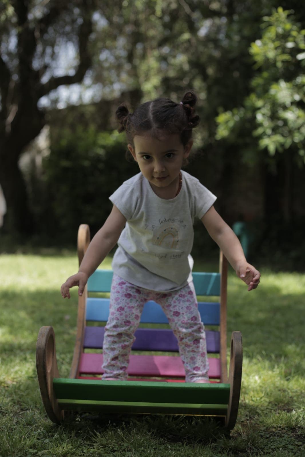 Foto del jardín 19