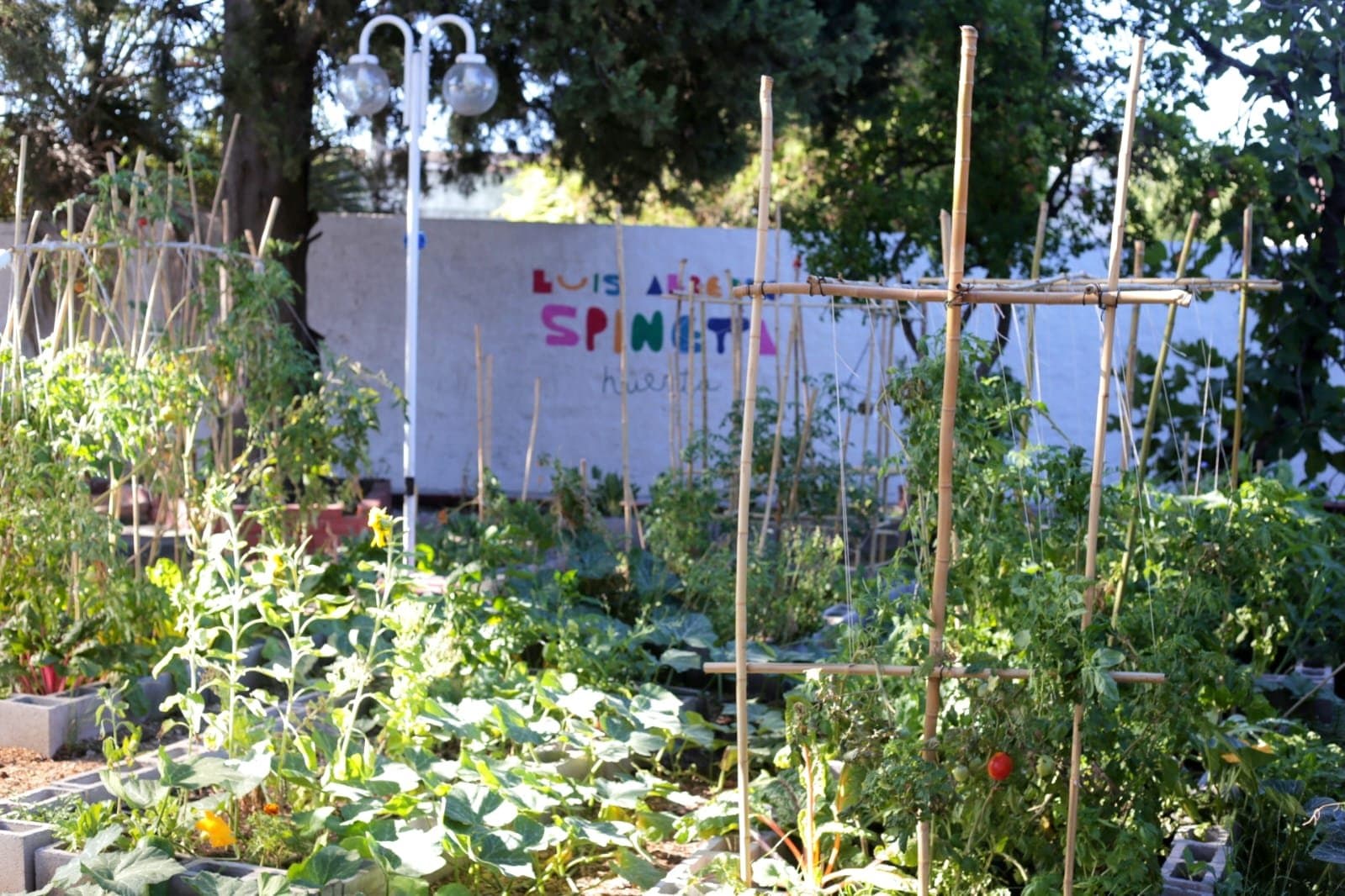 Foto del jardín 45